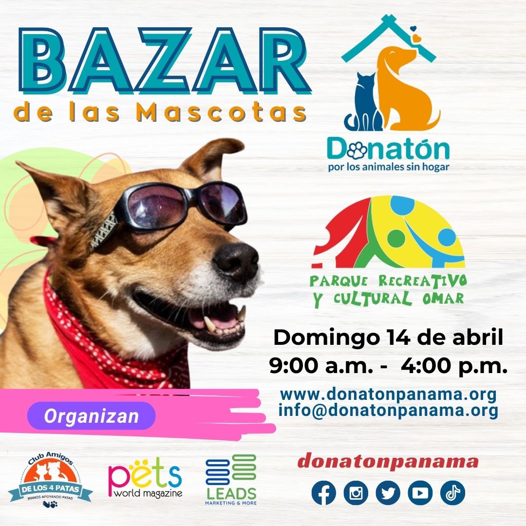 Bazar de las mascotas