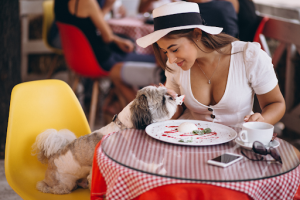 Cuidadores de perros a domicilio - Restaurantes pet-friendly en Panamá