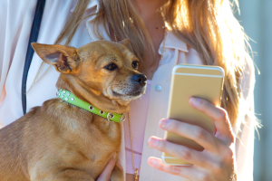 Tecnología para cuidadores de mascotas