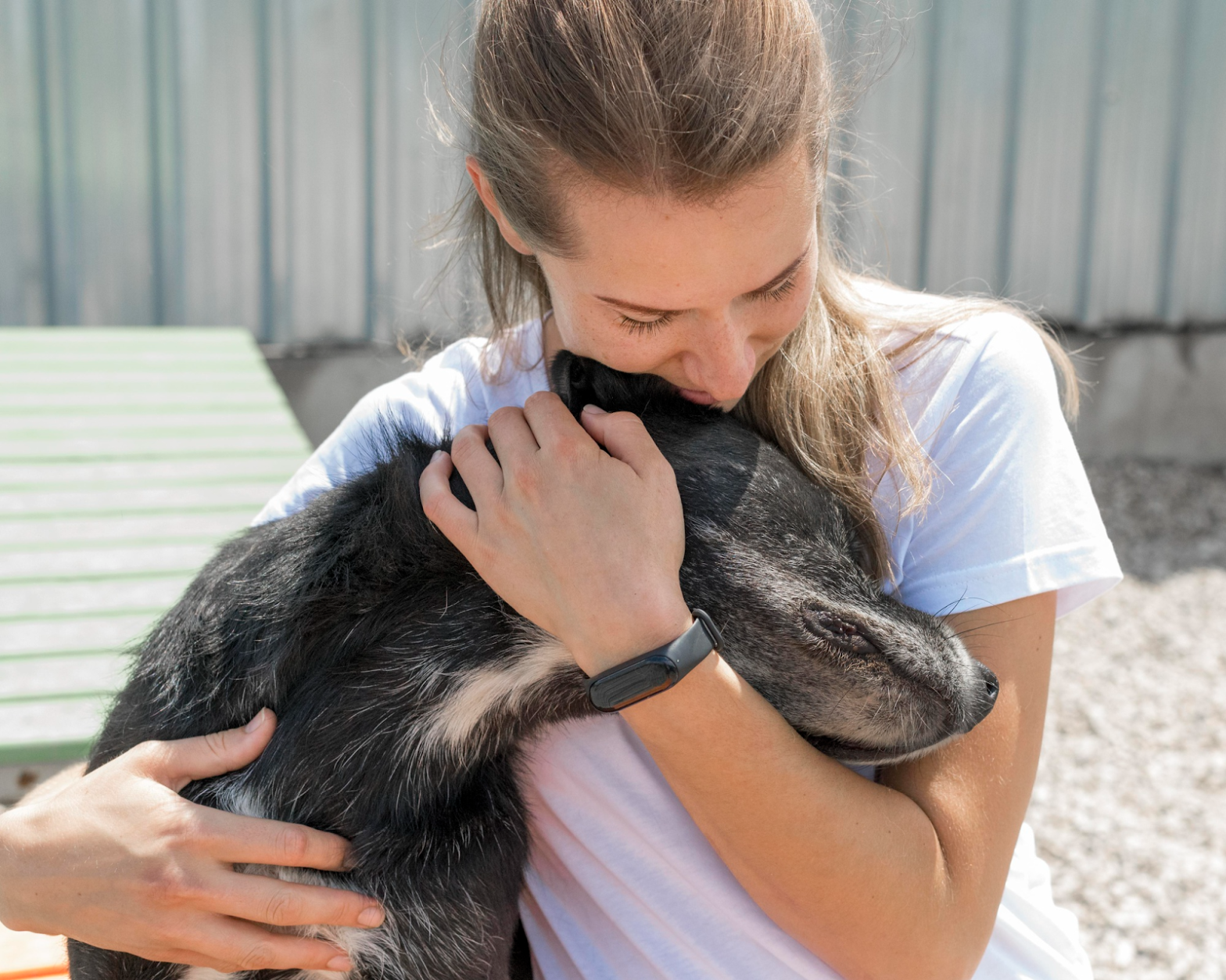 Perro con necesidades especiales en una guardería para perros