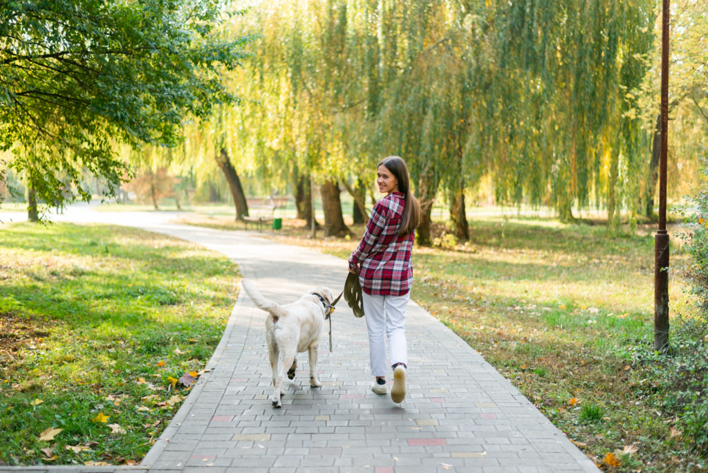 Perro caminando por el parque con paseadora