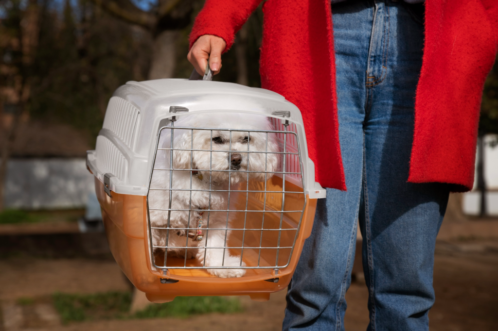 Perro blanco en una jaula transportadora