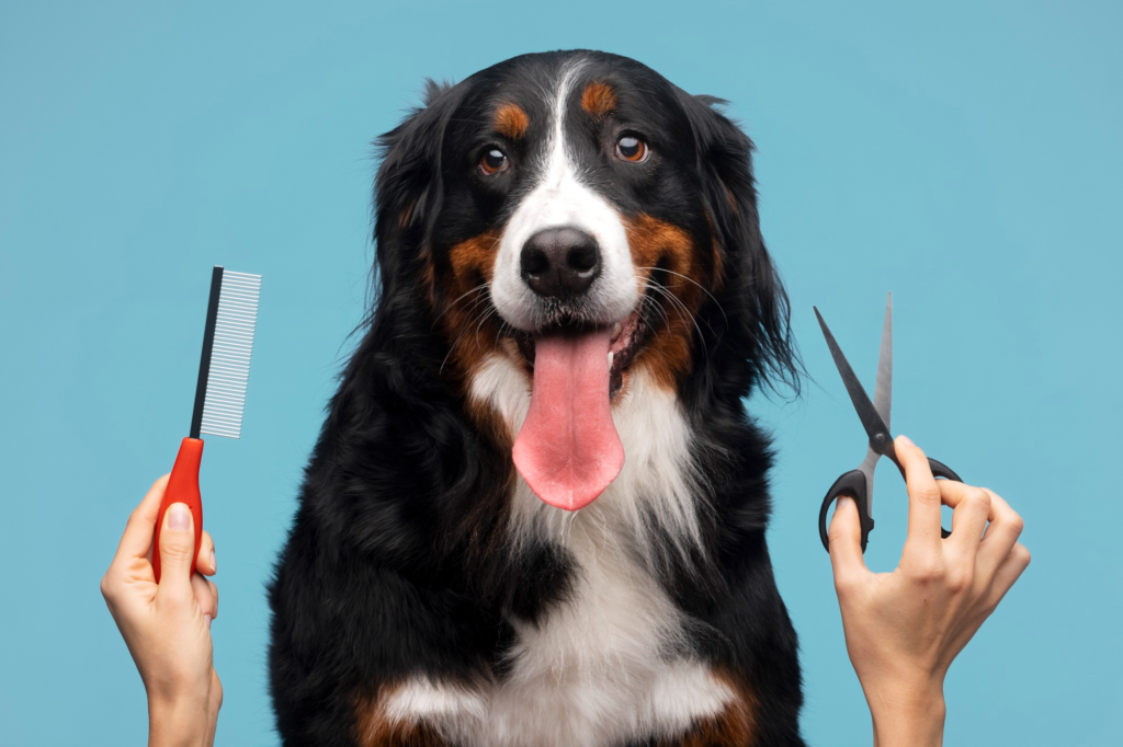 Perro feliz listo para un corte de pelo en una peluquería canina, con tijeras y peine en primer plano