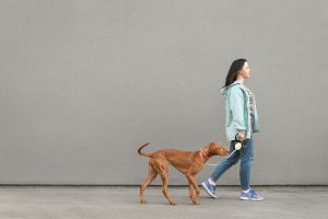 Consejos para elegir a alguien para pasear a tu perro.